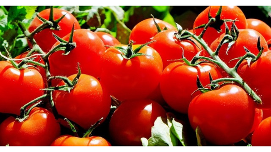 #3 Stop à la discrimination alimentaire : la Tomate